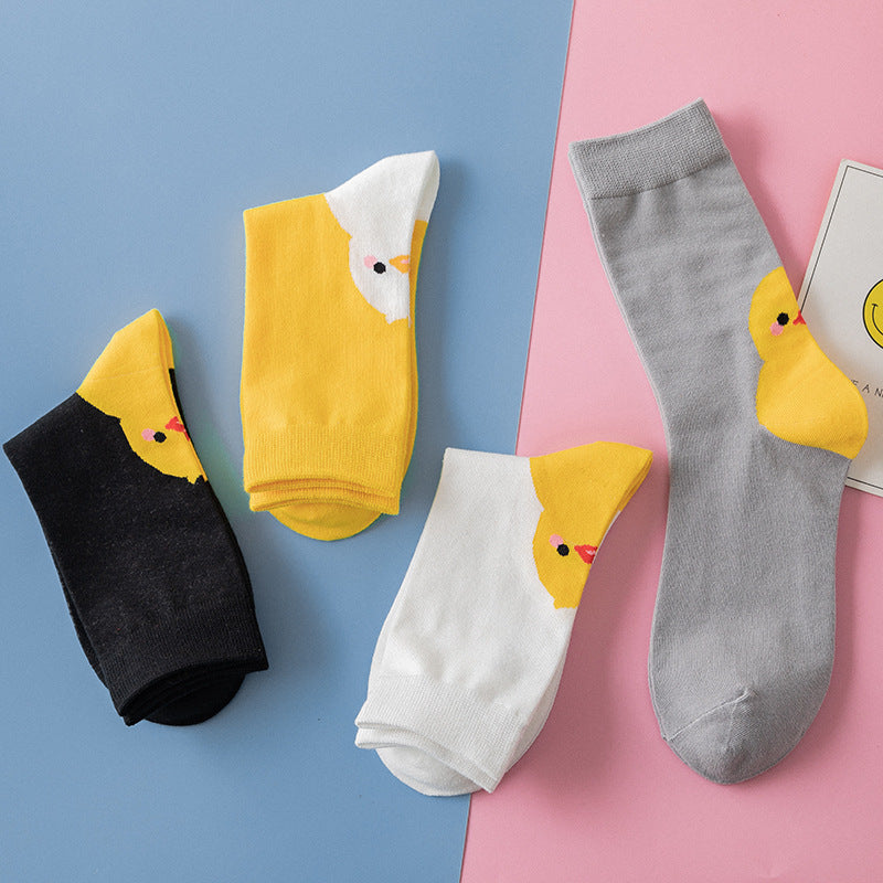 Cute little yellow chicken in tube socks