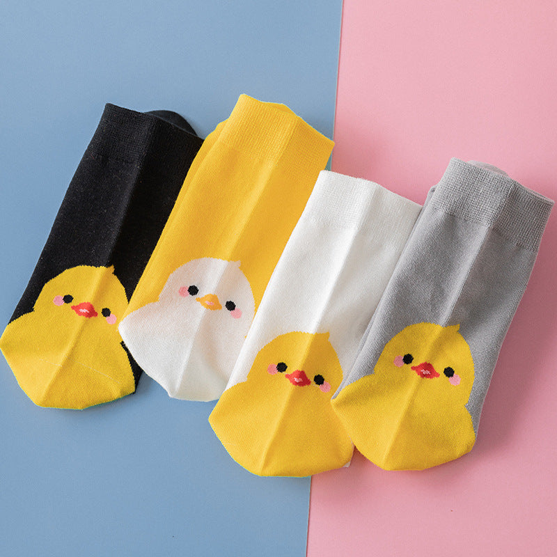 Cute little yellow chicken in tube socks